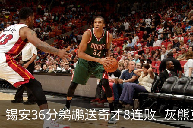 锡安36分鹈鹕送奇才8连败 灰熊克火箭止9连败